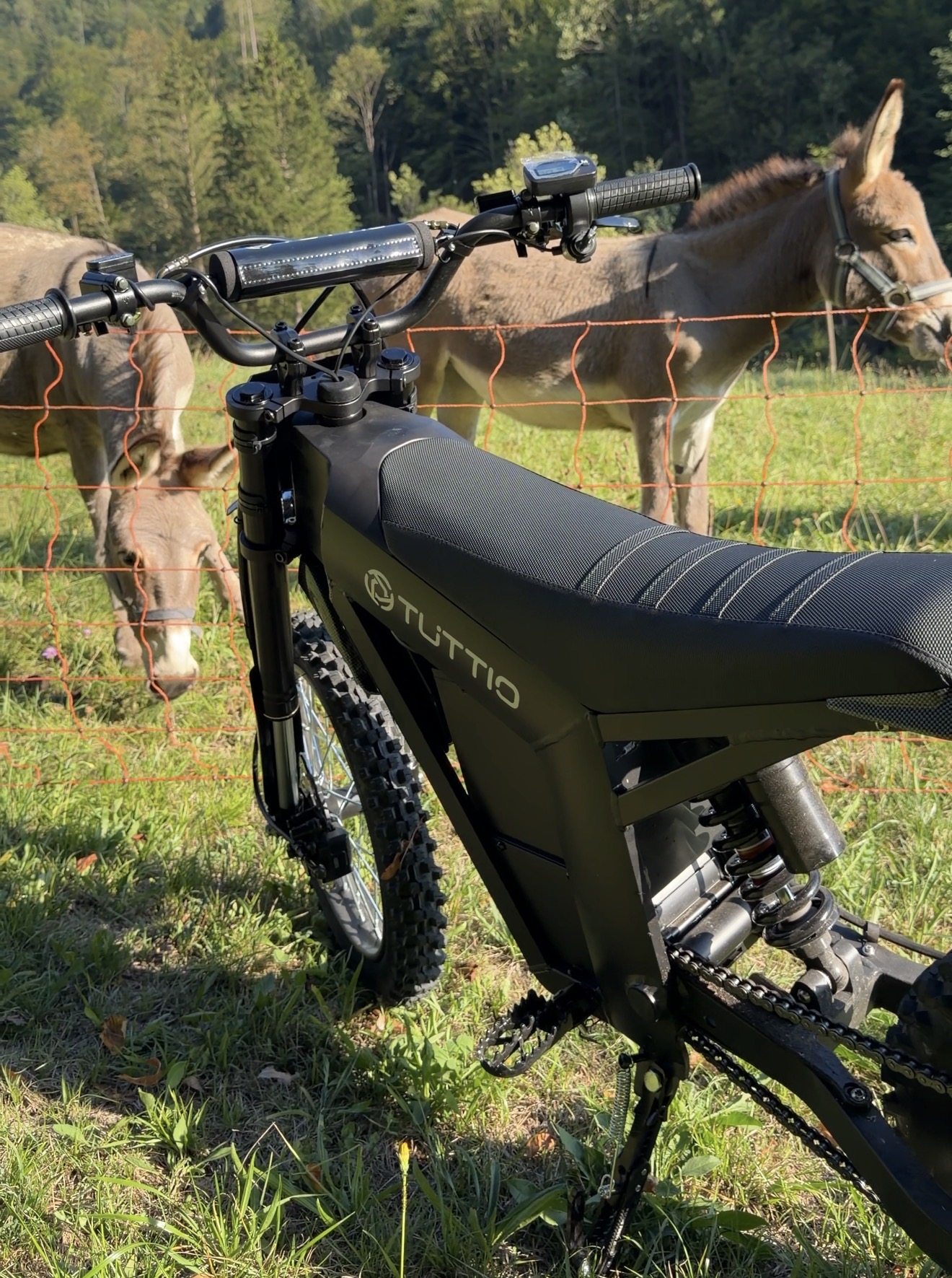 Tuttio Soleil01 SE adult-width handlebars and seat